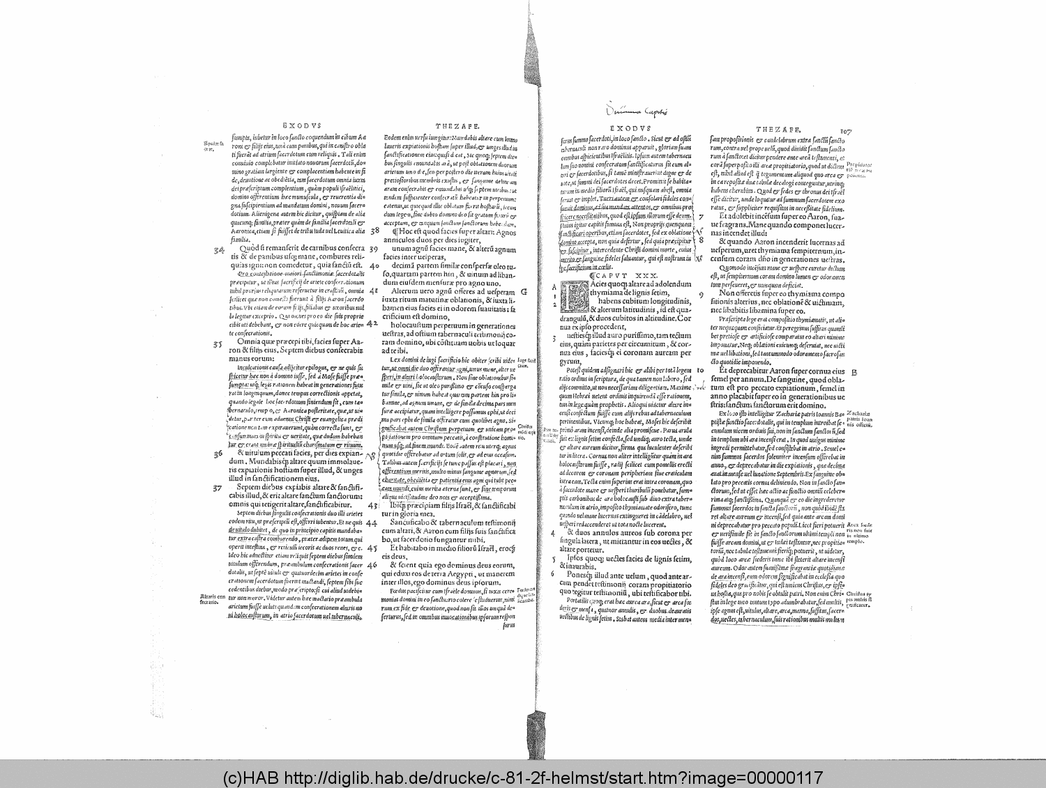 http://diglib.hab.de/drucke/c-81-2f-helmst/00000117.gif