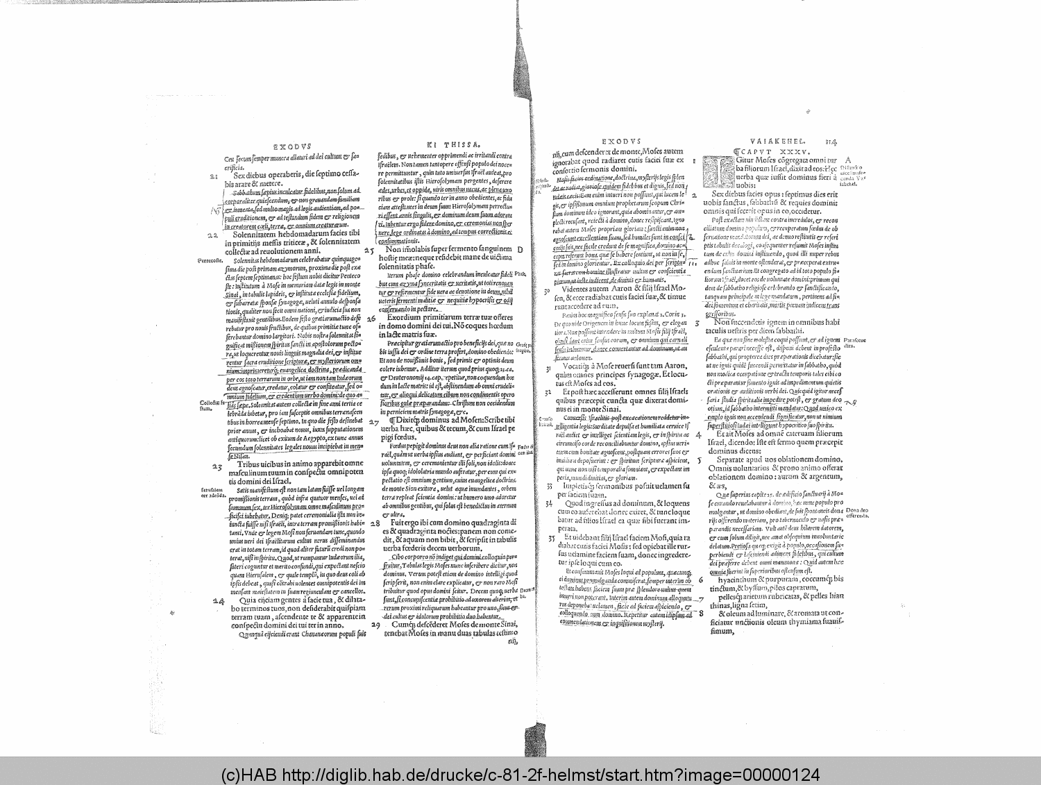 http://diglib.hab.de/drucke/c-81-2f-helmst/00000124.gif