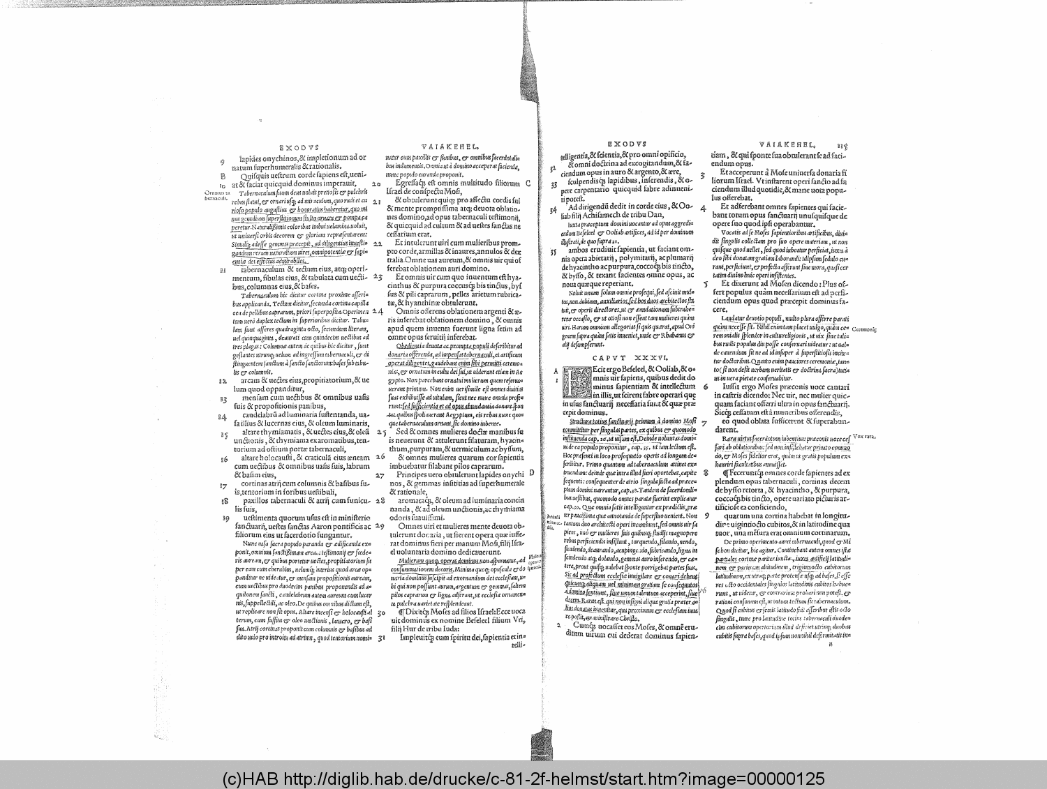 http://diglib.hab.de/drucke/c-81-2f-helmst/00000125.gif
