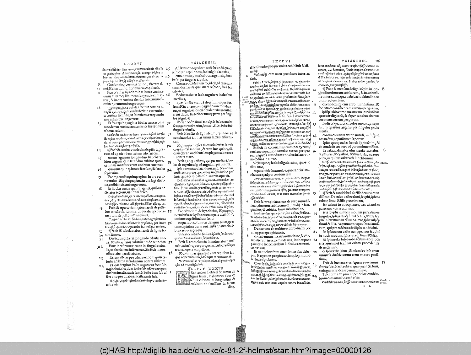 http://diglib.hab.de/drucke/c-81-2f-helmst/00000126.gif
