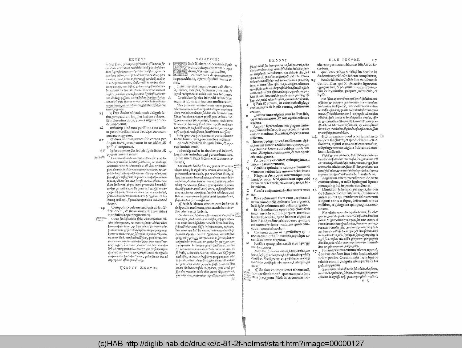 http://diglib.hab.de/drucke/c-81-2f-helmst/00000127.gif