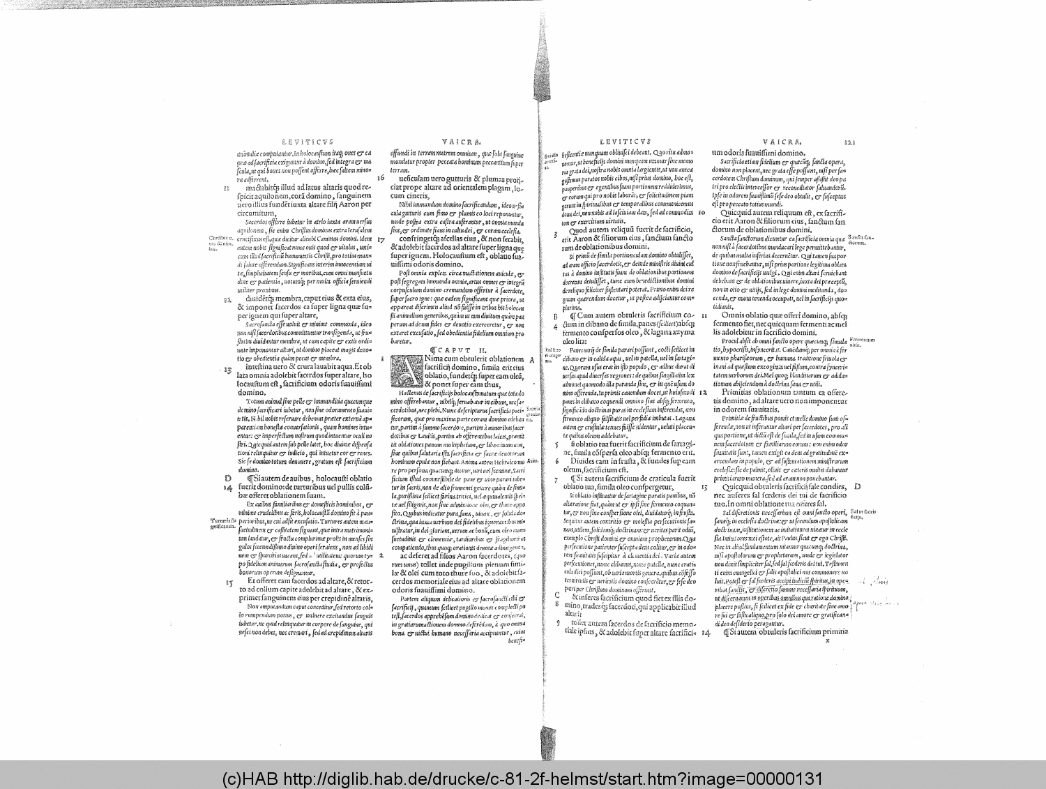 http://diglib.hab.de/drucke/c-81-2f-helmst/00000131.gif