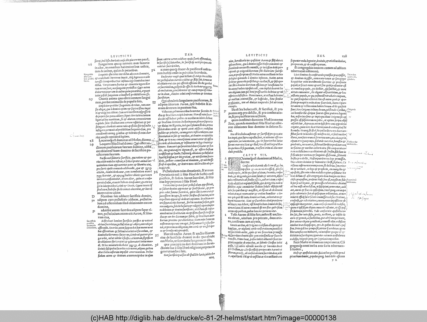http://diglib.hab.de/drucke/c-81-2f-helmst/00000138.gif