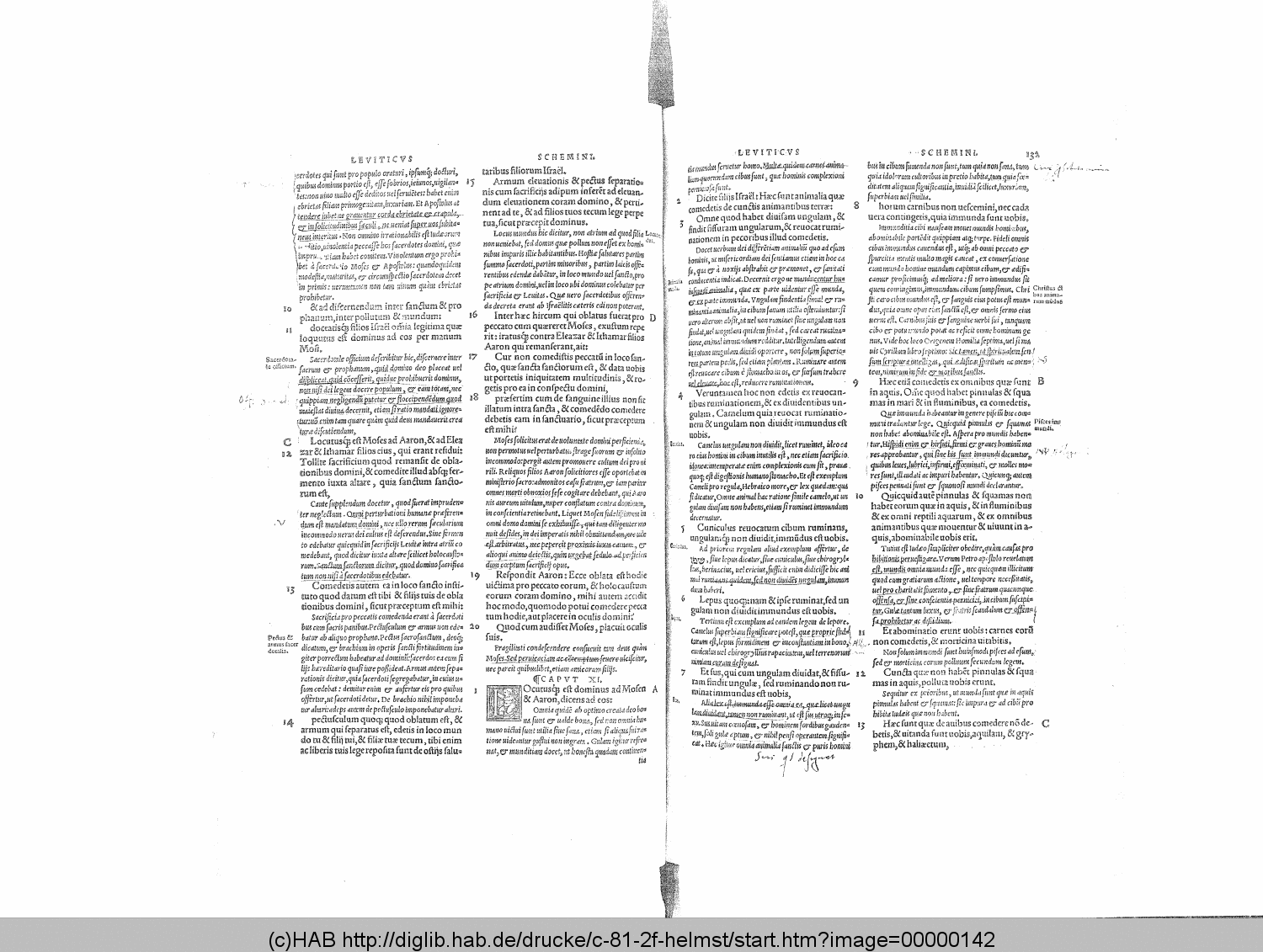 http://diglib.hab.de/drucke/c-81-2f-helmst/00000142.gif