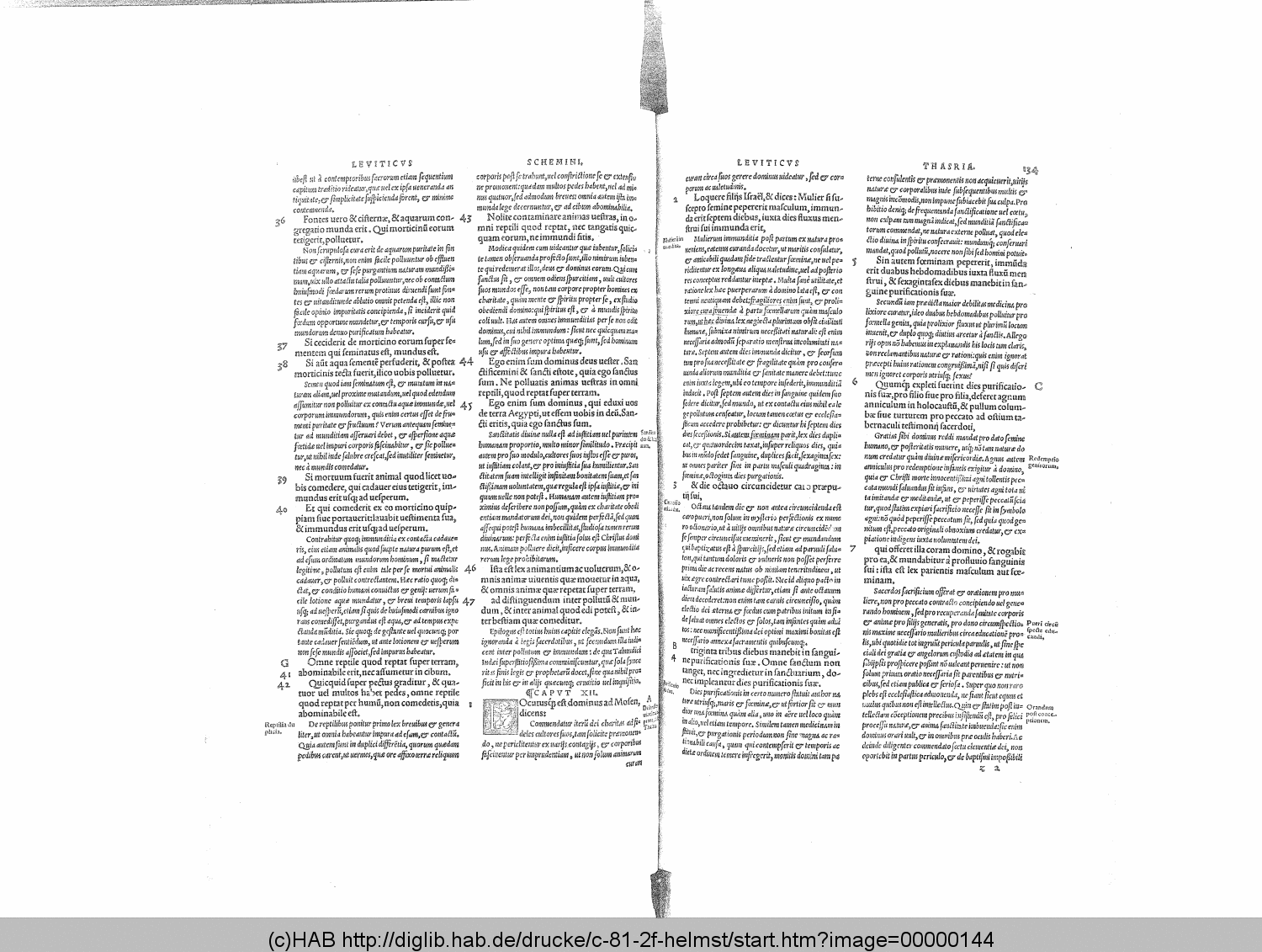 http://diglib.hab.de/drucke/c-81-2f-helmst/00000144.gif