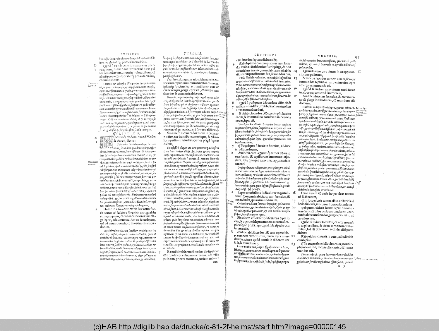 http://diglib.hab.de/drucke/c-81-2f-helmst/00000145.gif
