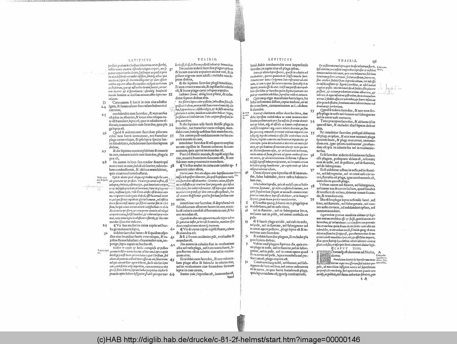 http://diglib.hab.de/drucke/c-81-2f-helmst/00000146.gif