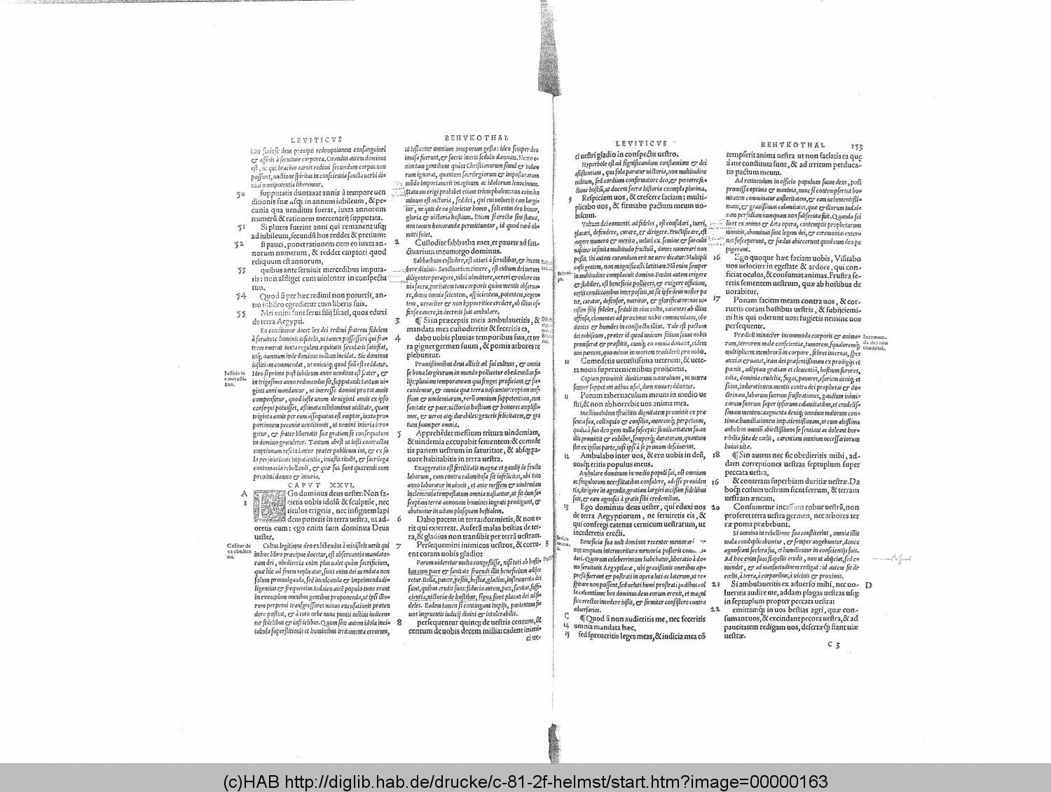 http://diglib.hab.de/drucke/c-81-2f-helmst/00000163.gif