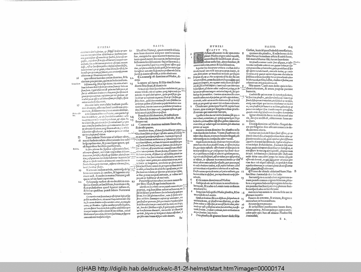 http://diglib.hab.de/drucke/c-81-2f-helmst/00000174.gif