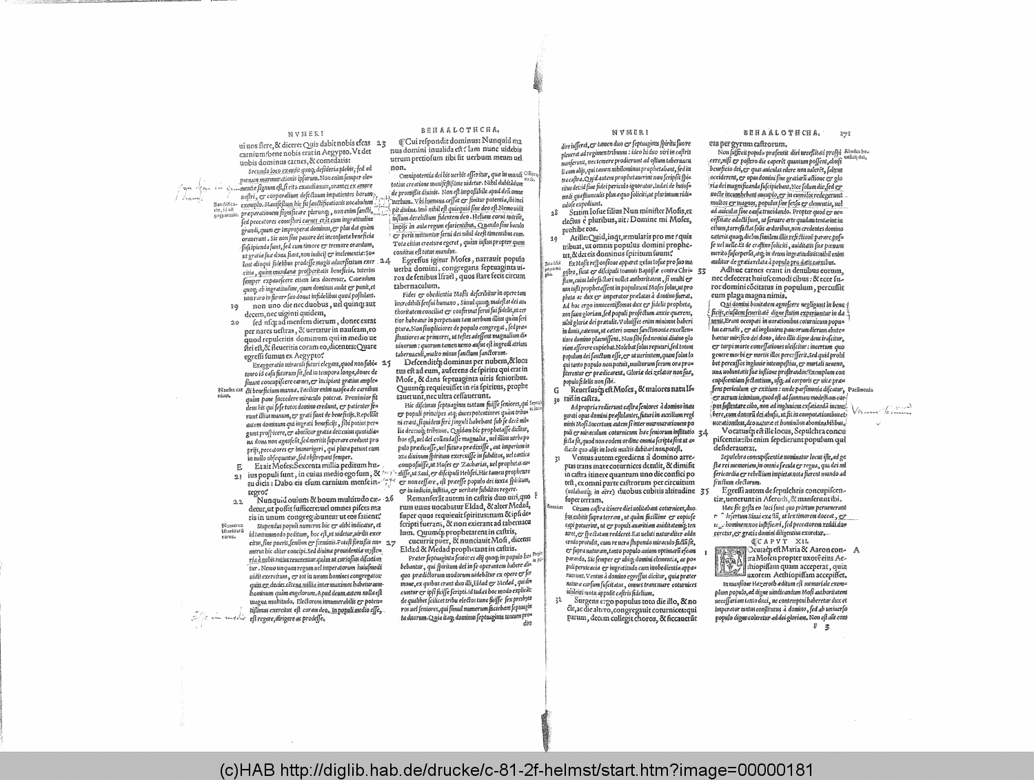 http://diglib.hab.de/drucke/c-81-2f-helmst/00000181.gif