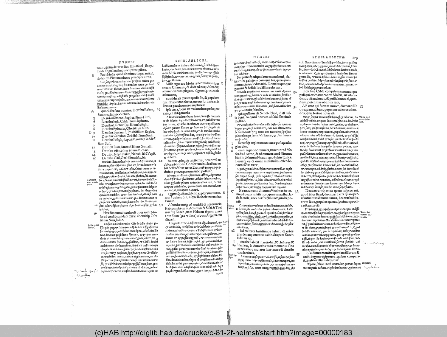 http://diglib.hab.de/drucke/c-81-2f-helmst/00000183.gif