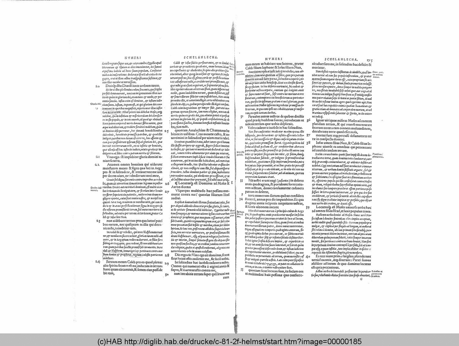 http://diglib.hab.de/drucke/c-81-2f-helmst/00000185.gif