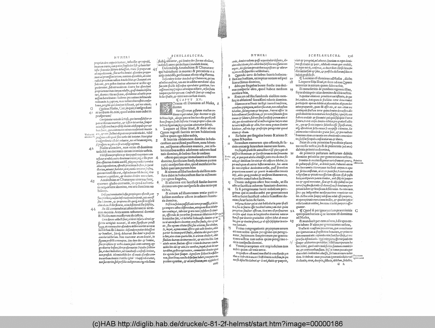http://diglib.hab.de/drucke/c-81-2f-helmst/00000186.gif