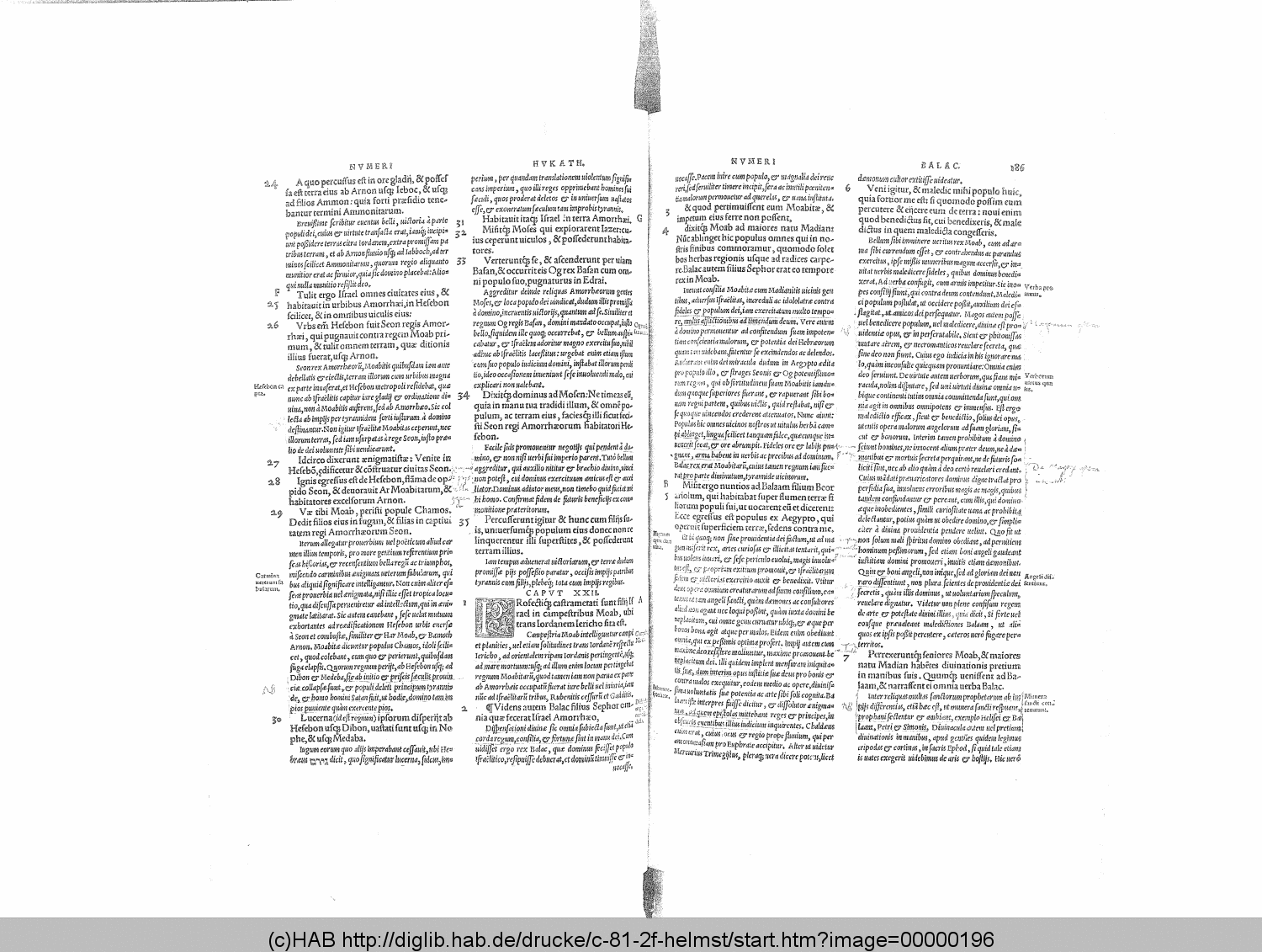 http://diglib.hab.de/drucke/c-81-2f-helmst/00000196.gif