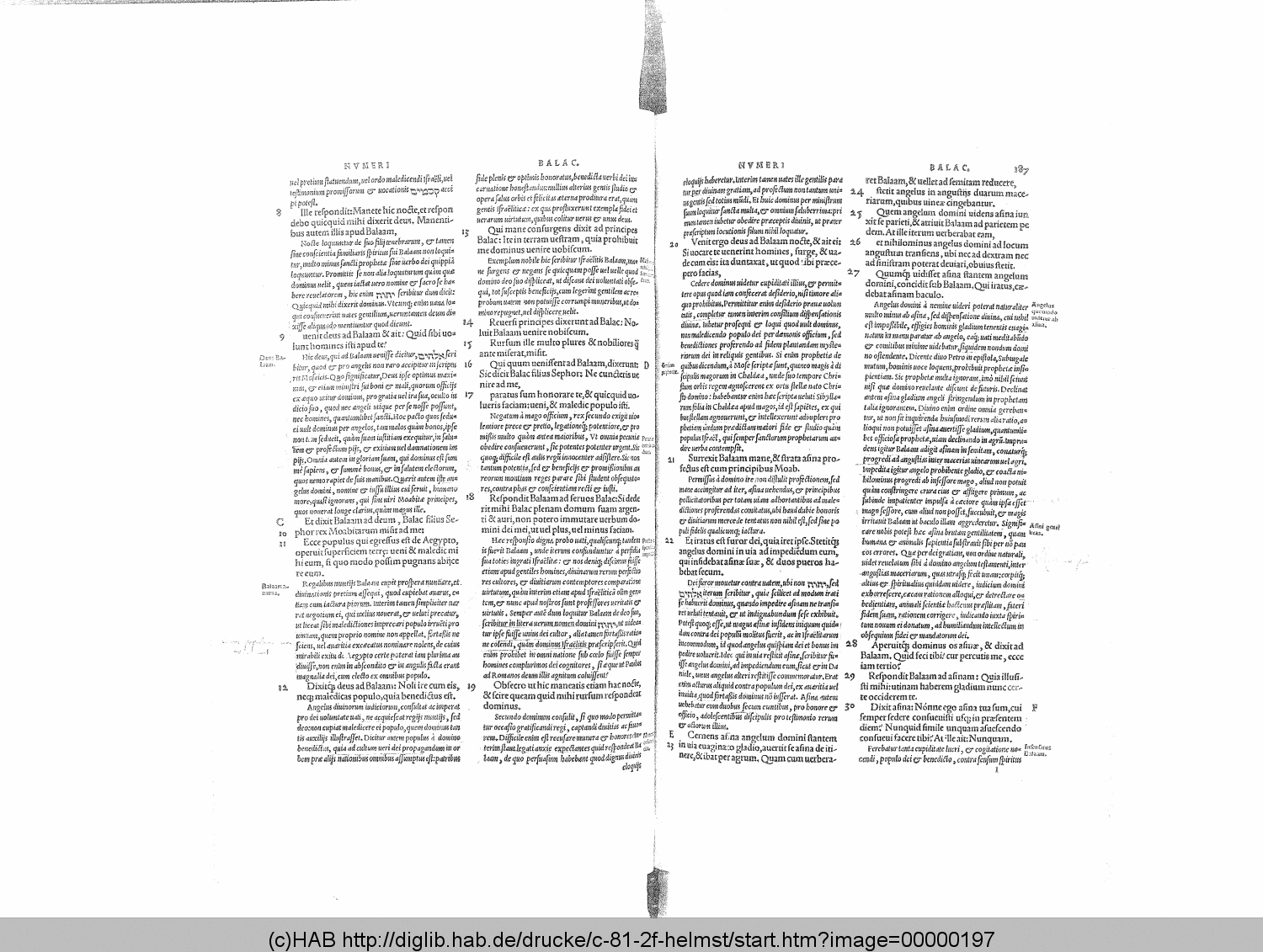 http://diglib.hab.de/drucke/c-81-2f-helmst/00000197.gif