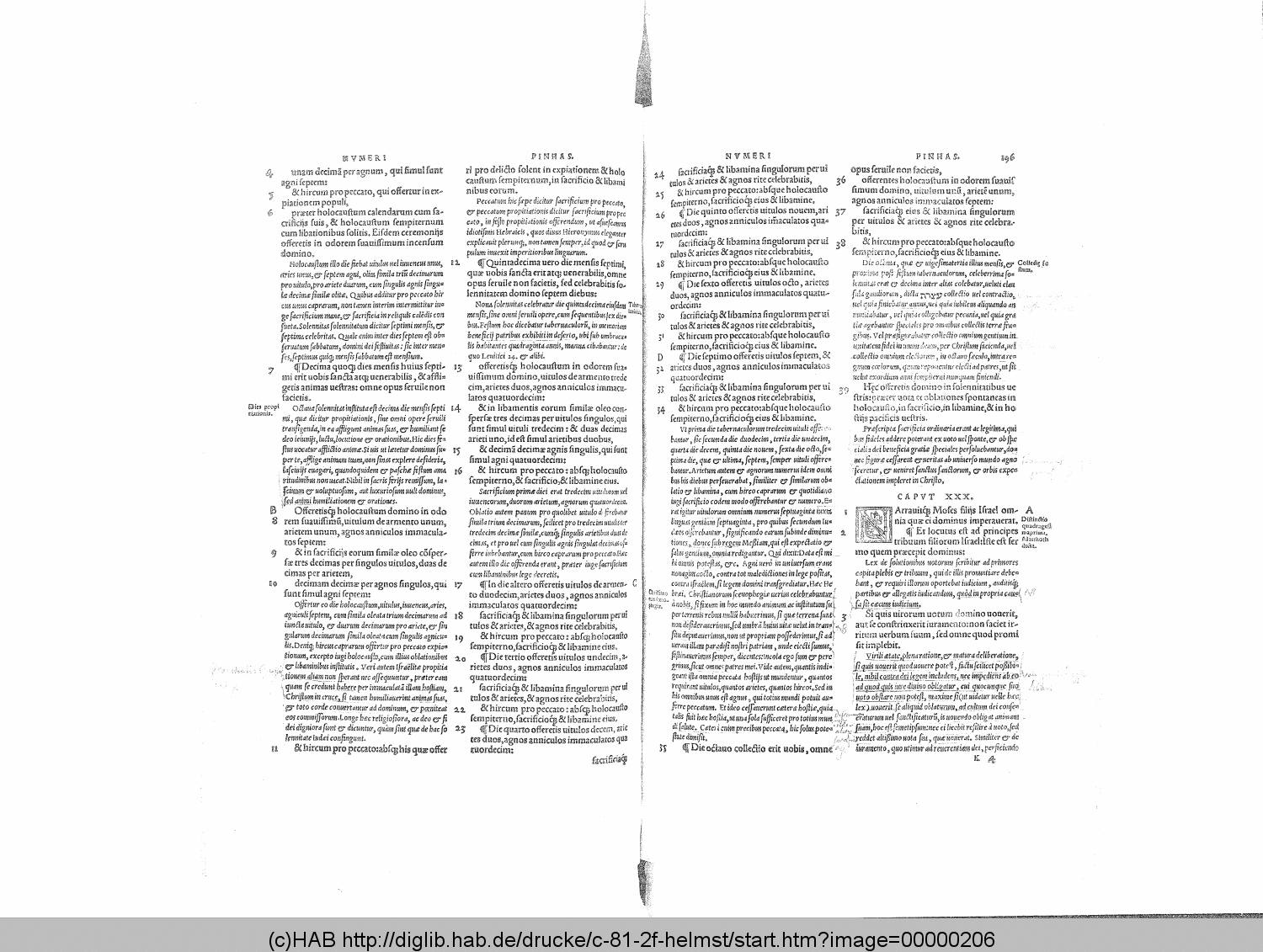 http://diglib.hab.de/drucke/c-81-2f-helmst/00000206.gif