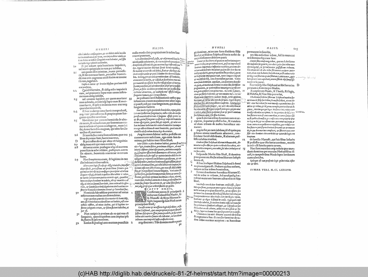 http://diglib.hab.de/drucke/c-81-2f-helmst/00000213.gif