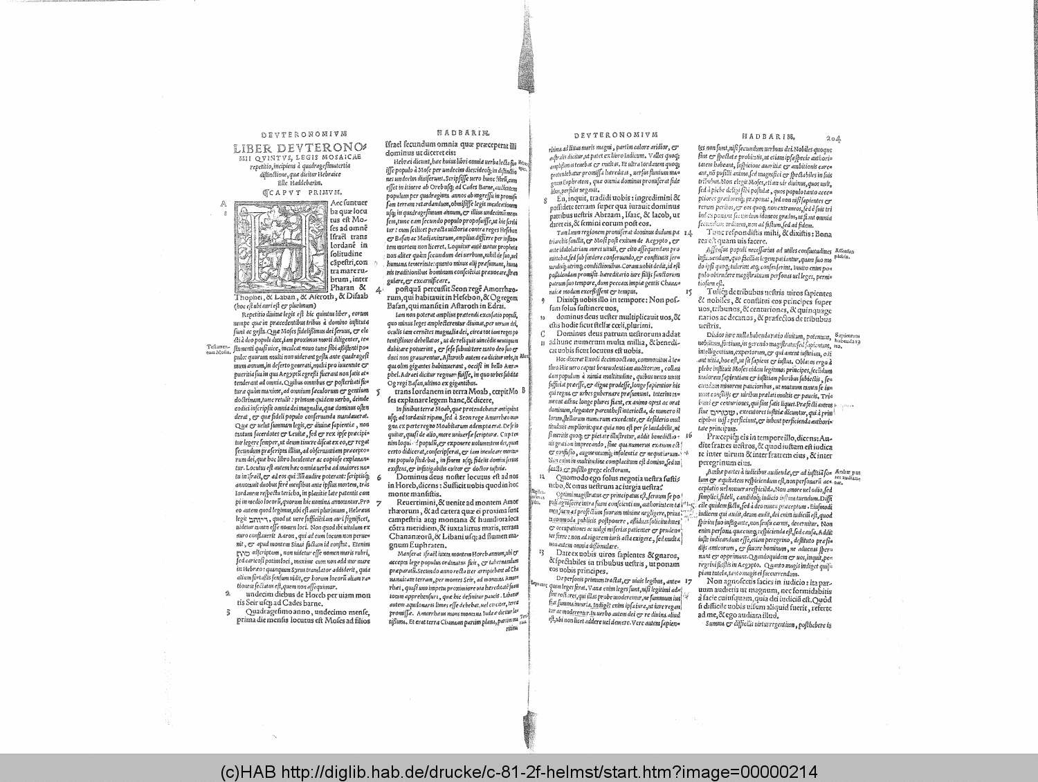 http://diglib.hab.de/drucke/c-81-2f-helmst/00000214.gif