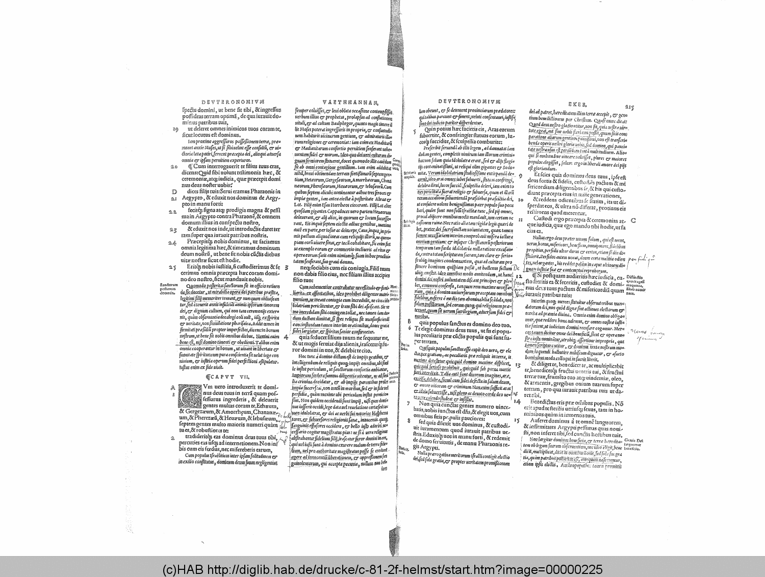 http://diglib.hab.de/drucke/c-81-2f-helmst/00000225.gif