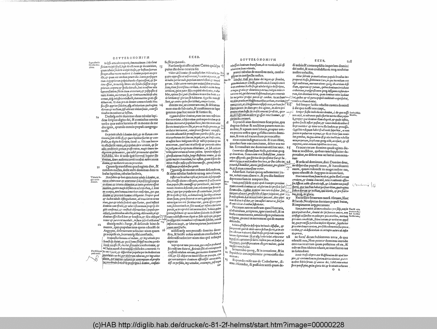 http://diglib.hab.de/drucke/c-81-2f-helmst/00000228.gif