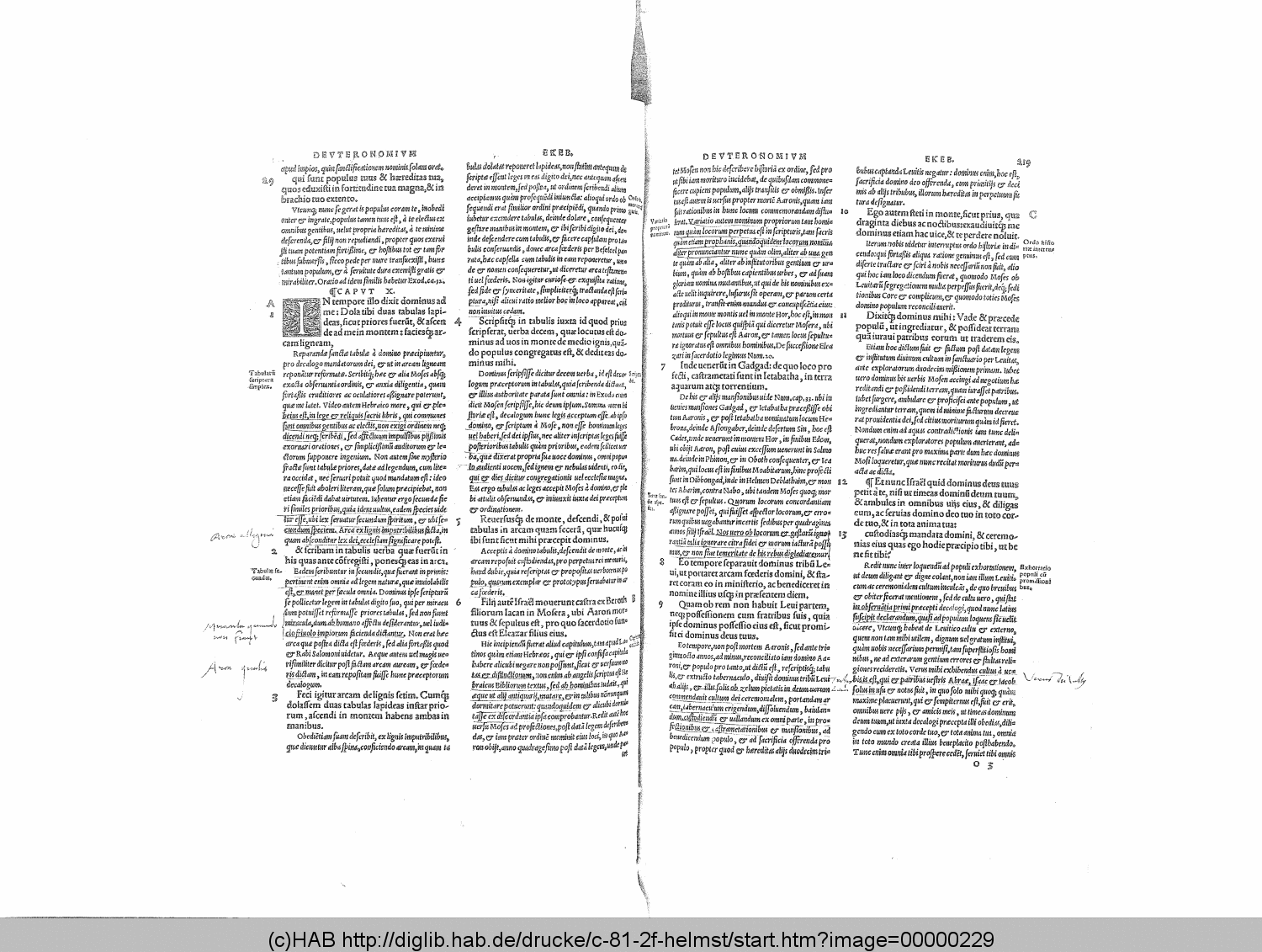 http://diglib.hab.de/drucke/c-81-2f-helmst/00000229.gif