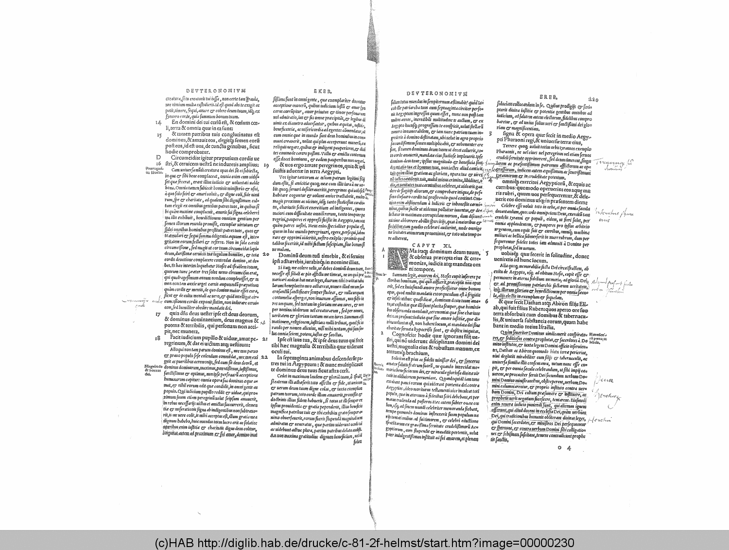 http://diglib.hab.de/drucke/c-81-2f-helmst/00000230.gif