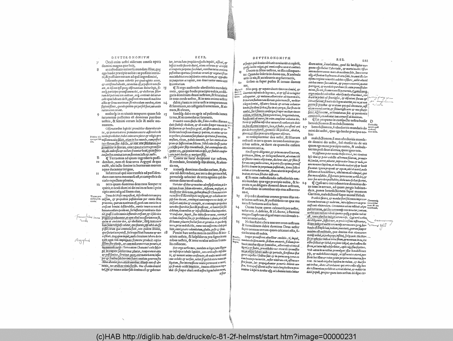 http://diglib.hab.de/drucke/c-81-2f-helmst/00000231.gif