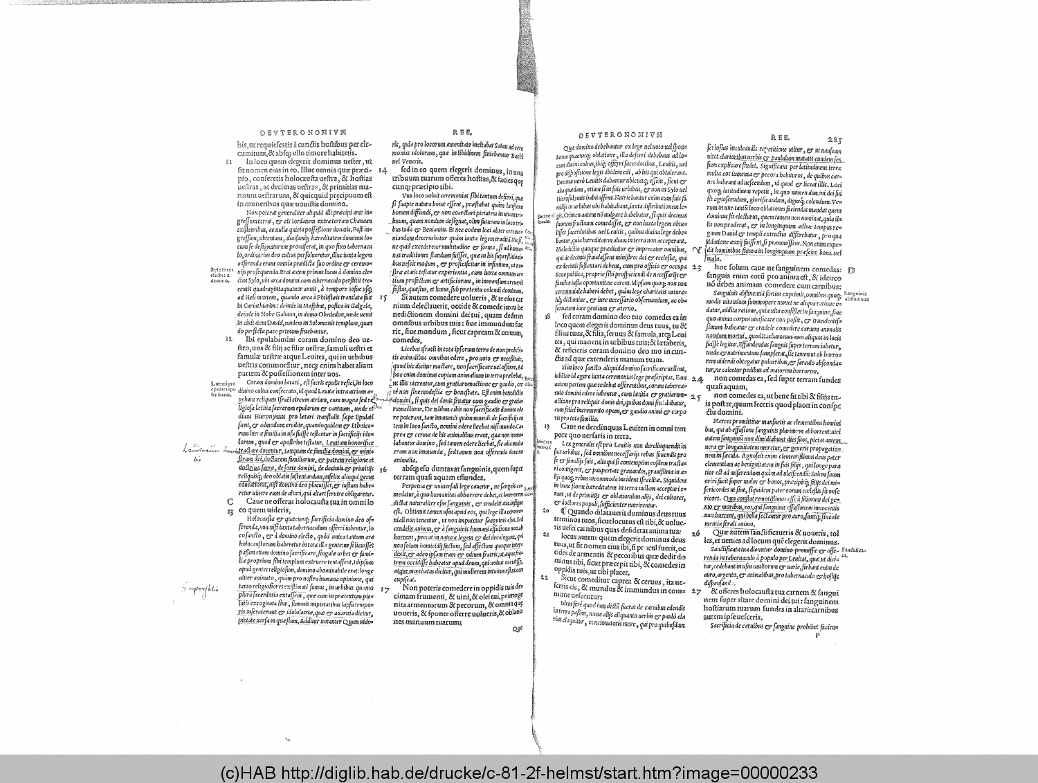 http://diglib.hab.de/drucke/c-81-2f-helmst/00000233.gif