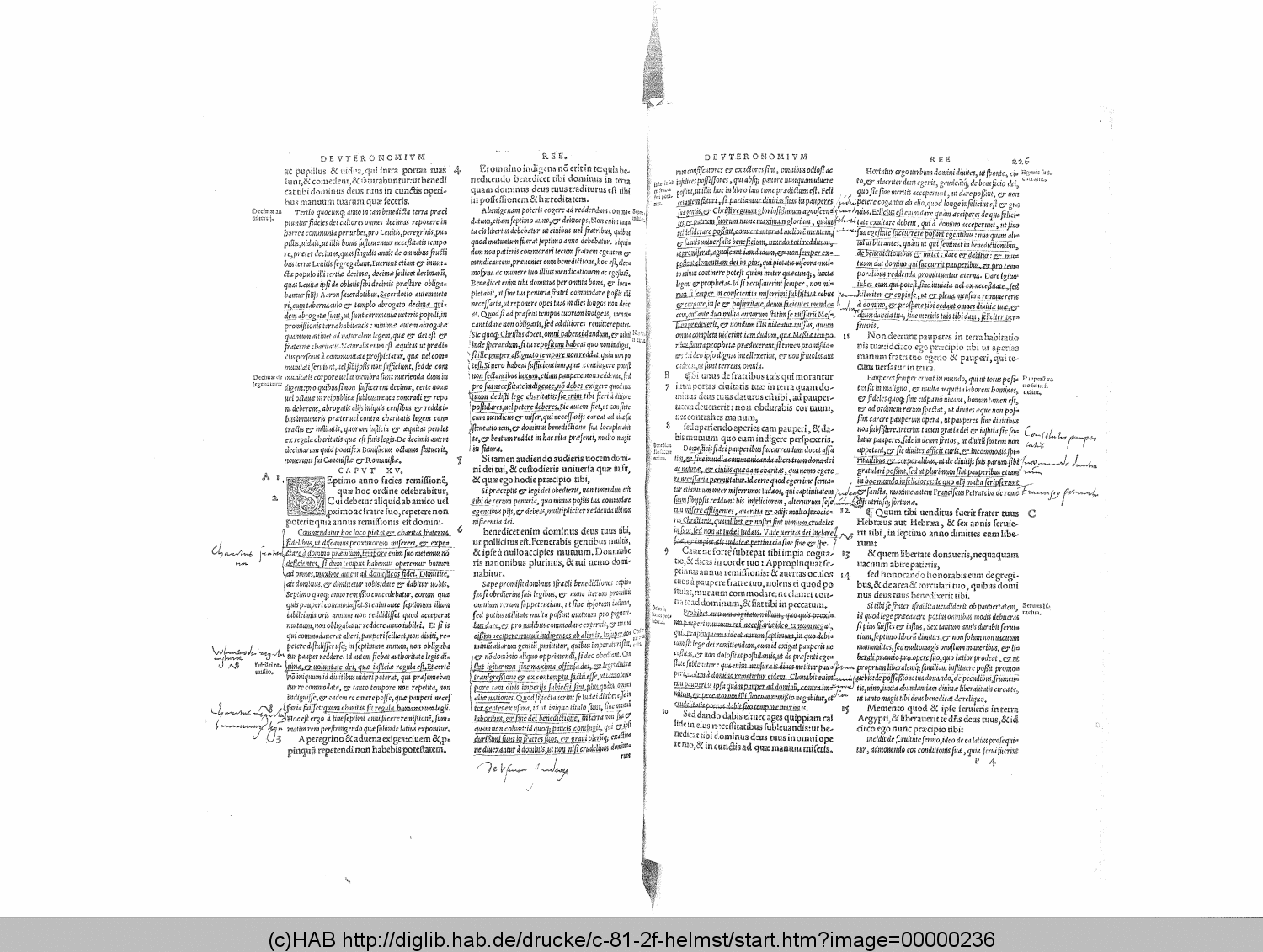 http://diglib.hab.de/drucke/c-81-2f-helmst/00000236.gif