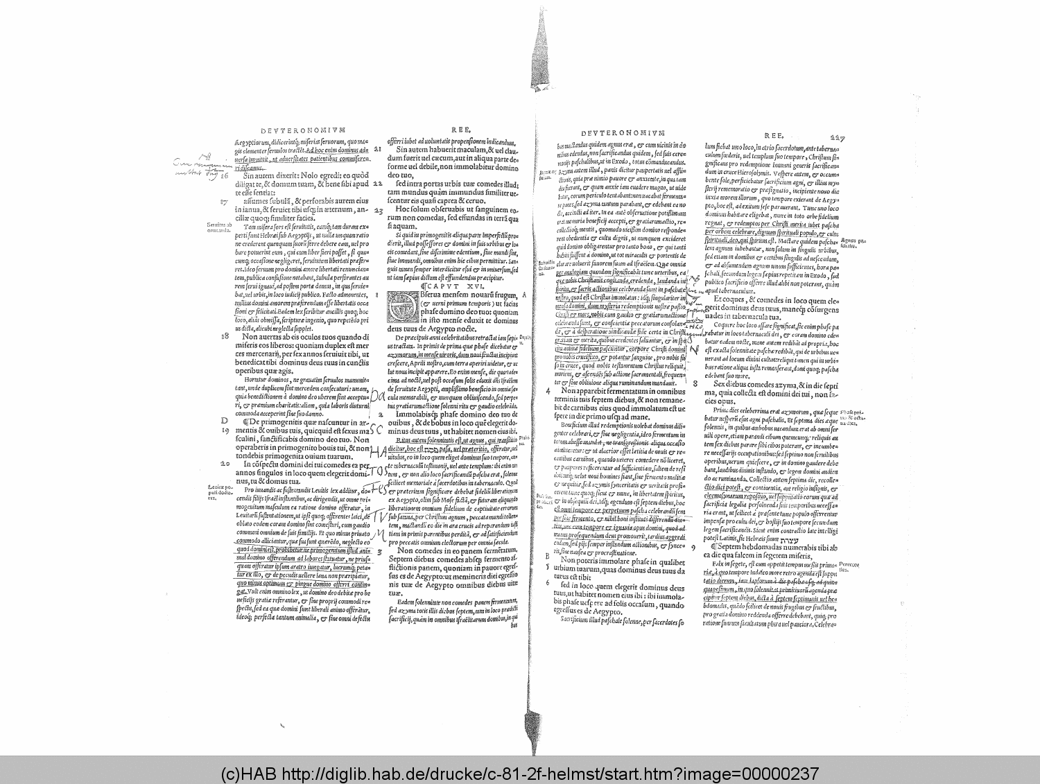 http://diglib.hab.de/drucke/c-81-2f-helmst/00000237.gif