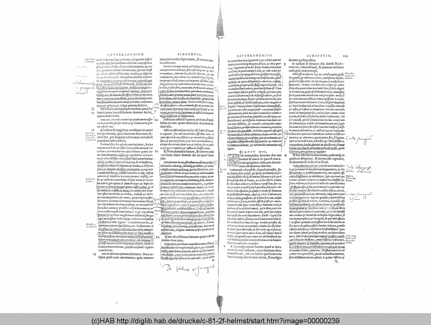 http://diglib.hab.de/drucke/c-81-2f-helmst/00000239.gif