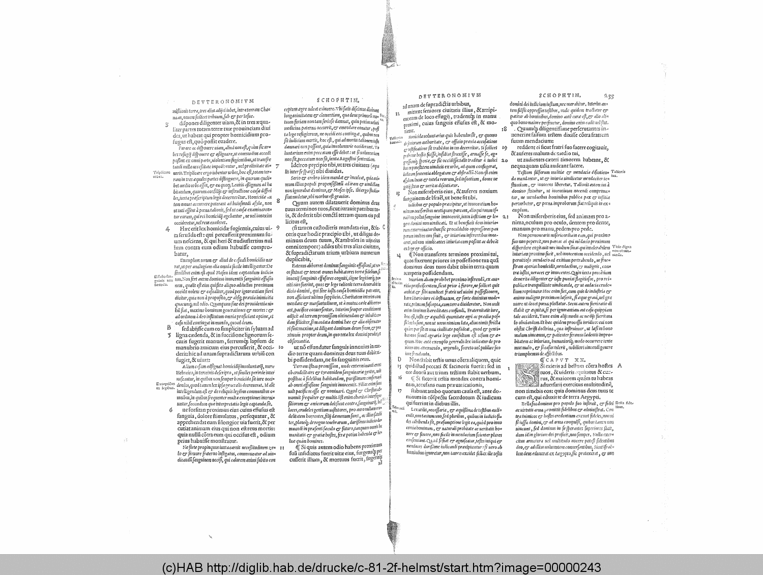 http://diglib.hab.de/drucke/c-81-2f-helmst/00000243.gif