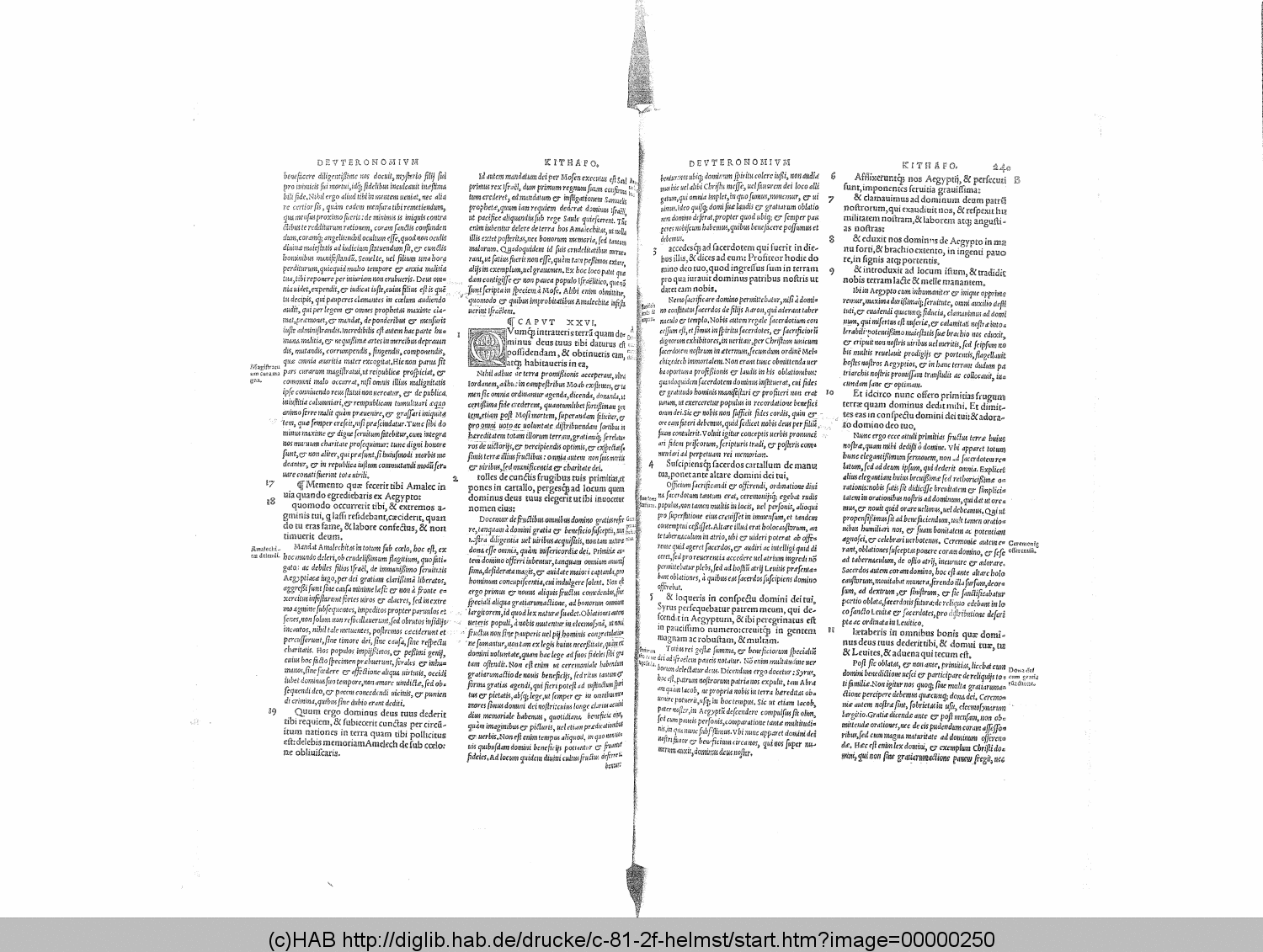 http://diglib.hab.de/drucke/c-81-2f-helmst/00000250.gif
