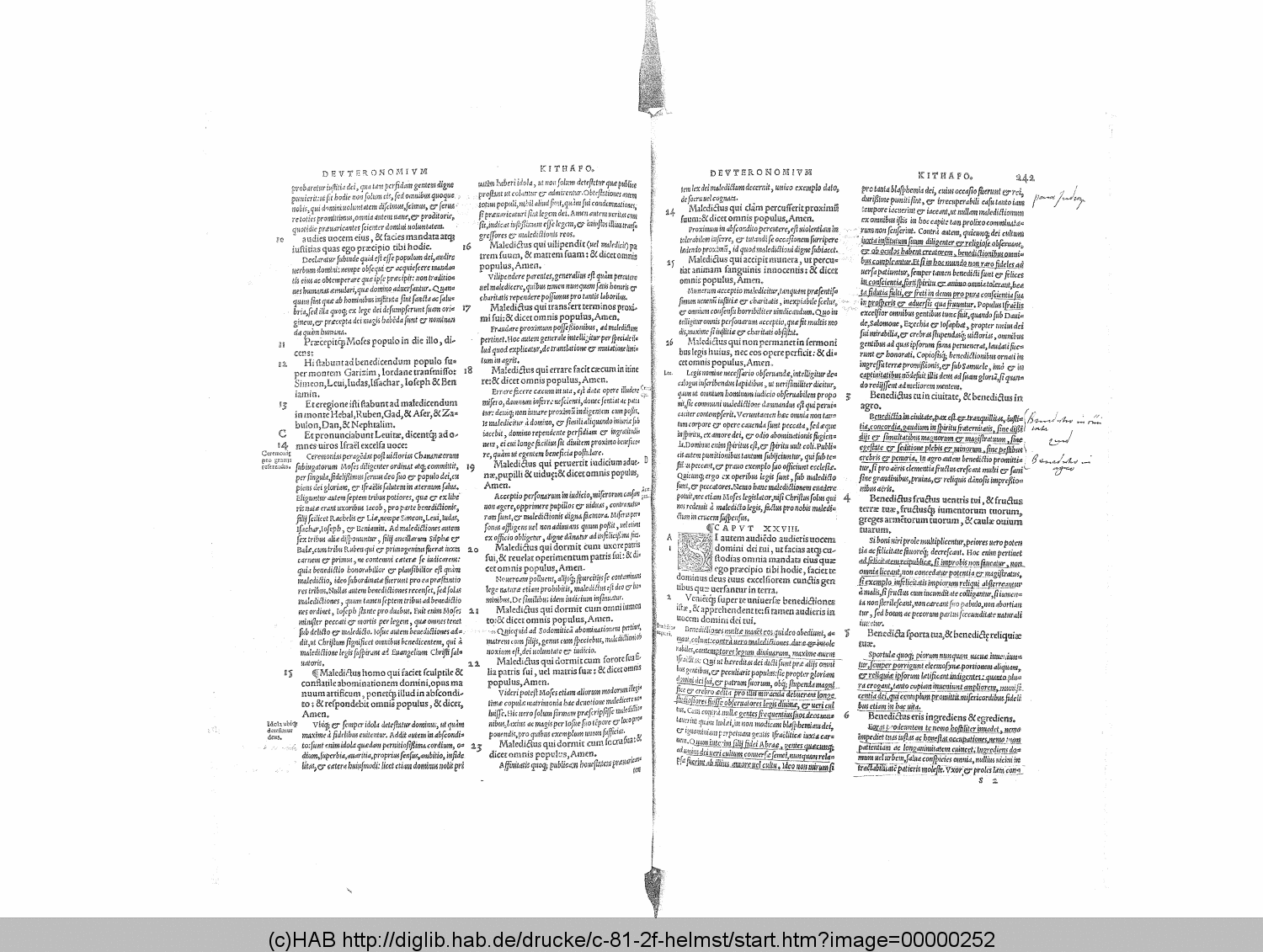 http://diglib.hab.de/drucke/c-81-2f-helmst/00000252.gif