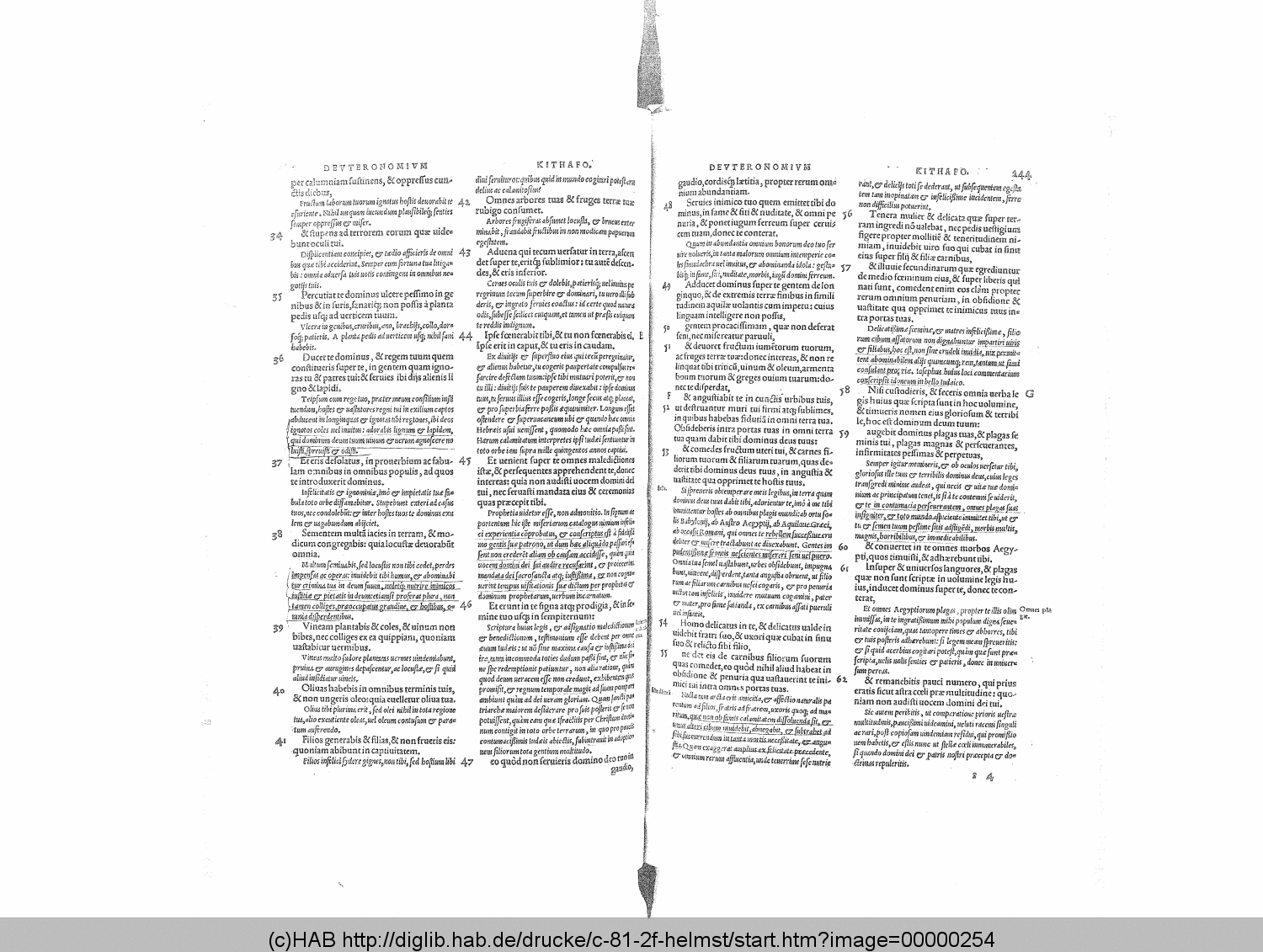 http://diglib.hab.de/drucke/c-81-2f-helmst/00000254.gif