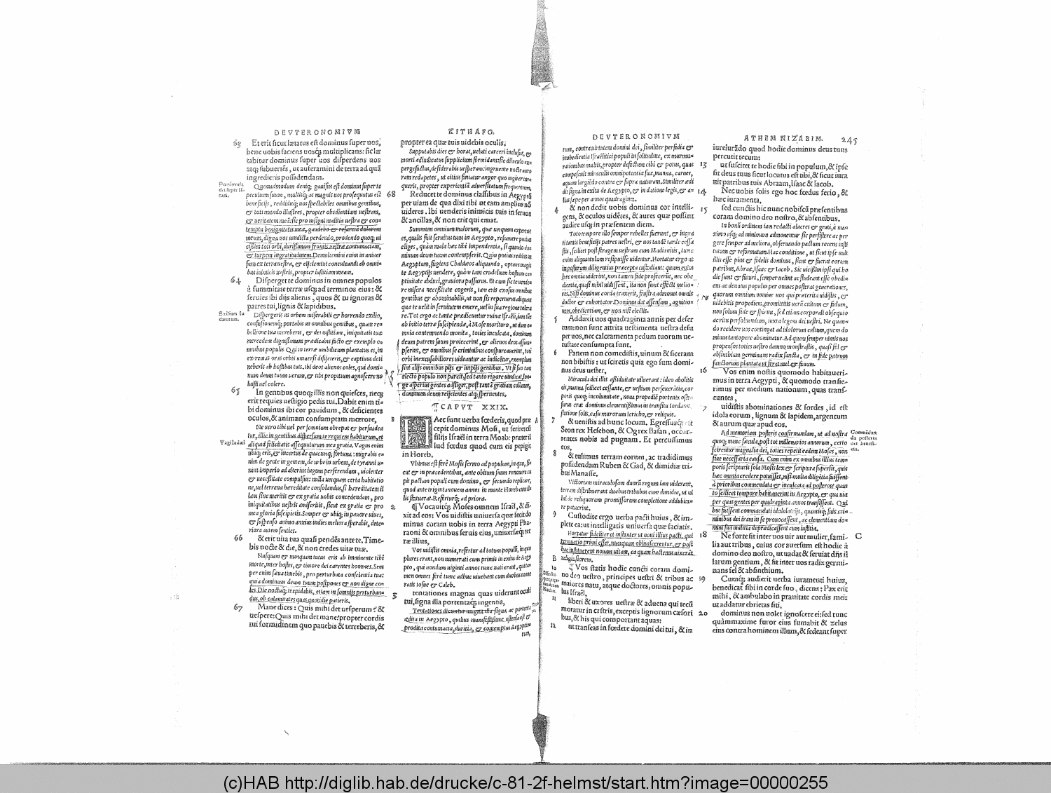 http://diglib.hab.de/drucke/c-81-2f-helmst/00000255.gif