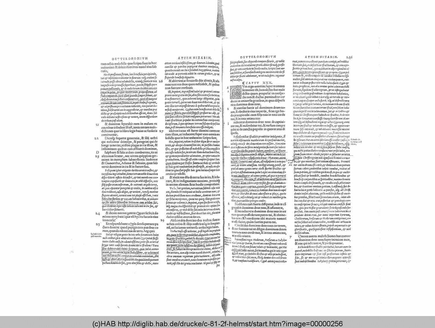 http://diglib.hab.de/drucke/c-81-2f-helmst/00000256.gif