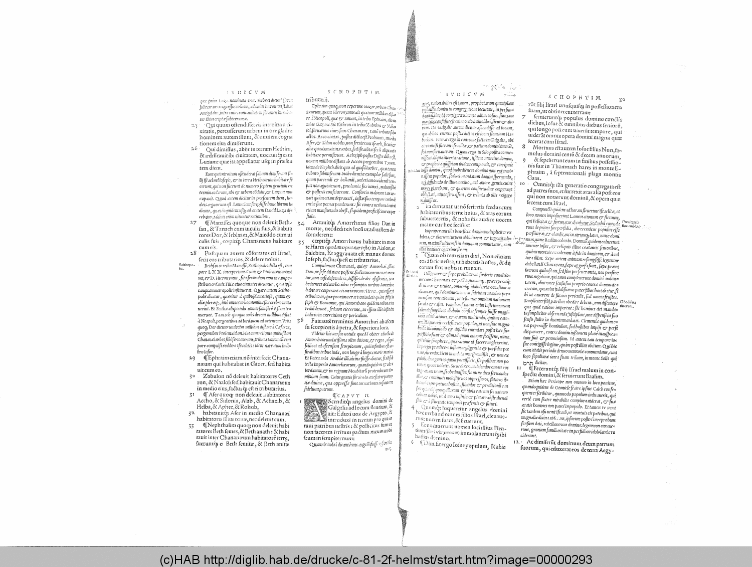 http://diglib.hab.de/drucke/c-81-2f-helmst/00000293.gif