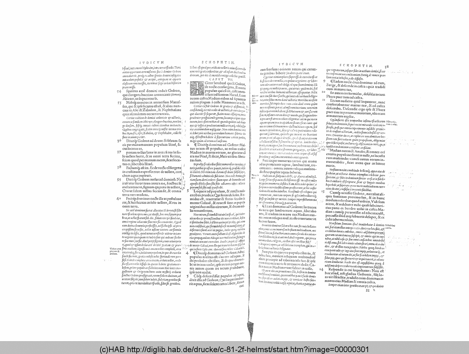 http://diglib.hab.de/drucke/c-81-2f-helmst/00000301.gif