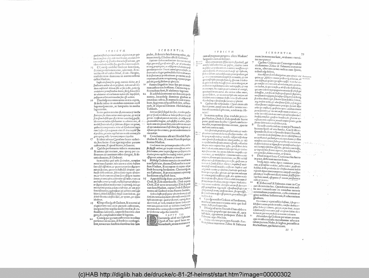 http://diglib.hab.de/drucke/c-81-2f-helmst/00000302.gif