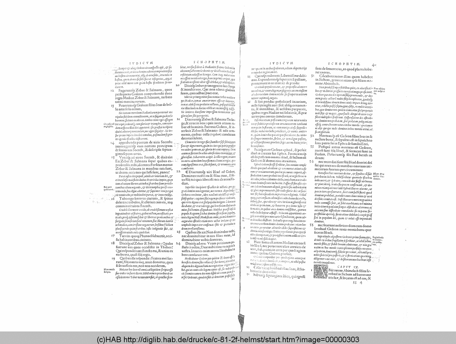 http://diglib.hab.de/drucke/c-81-2f-helmst/00000303.gif