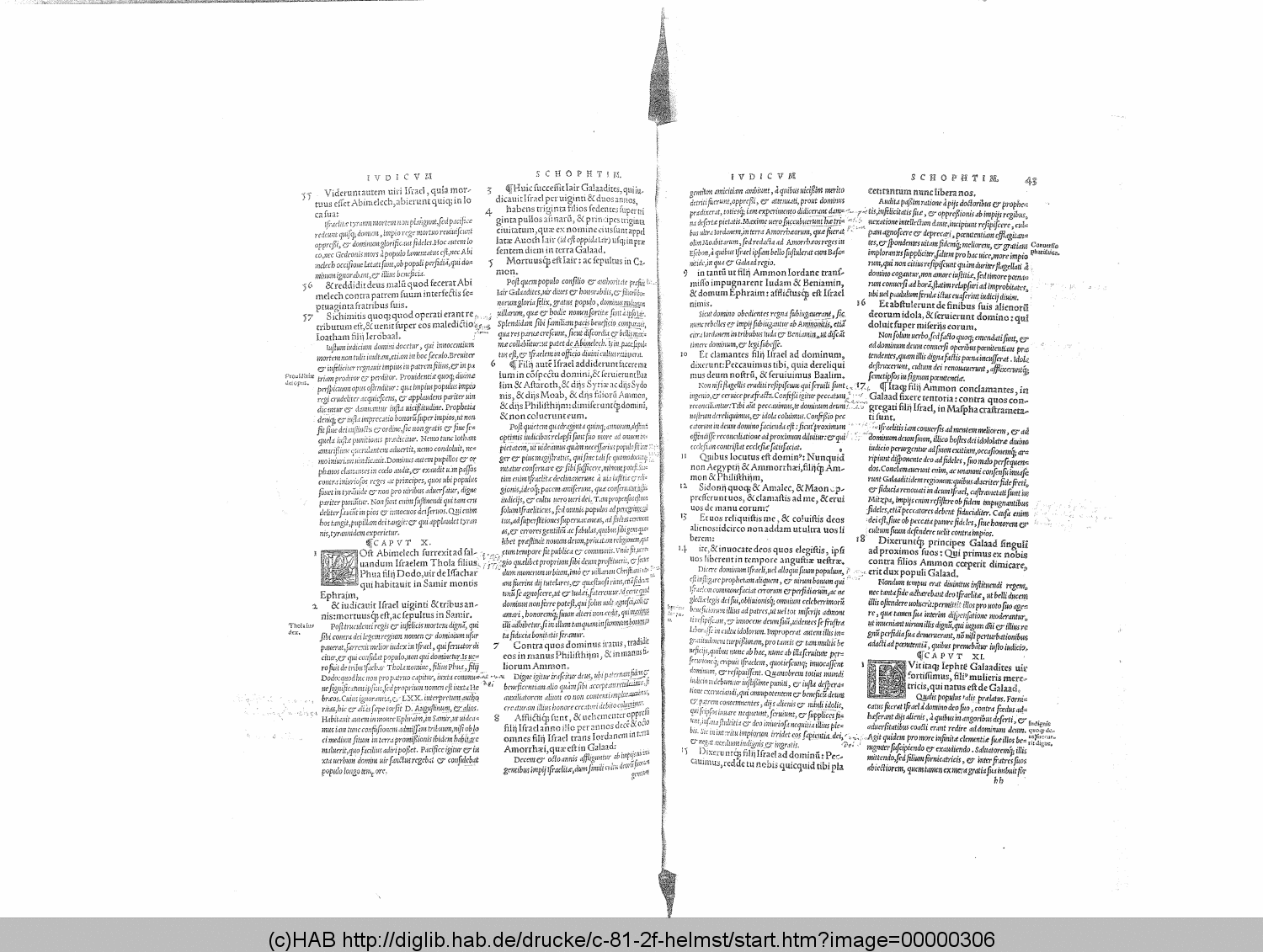 http://diglib.hab.de/drucke/c-81-2f-helmst/00000306.gif