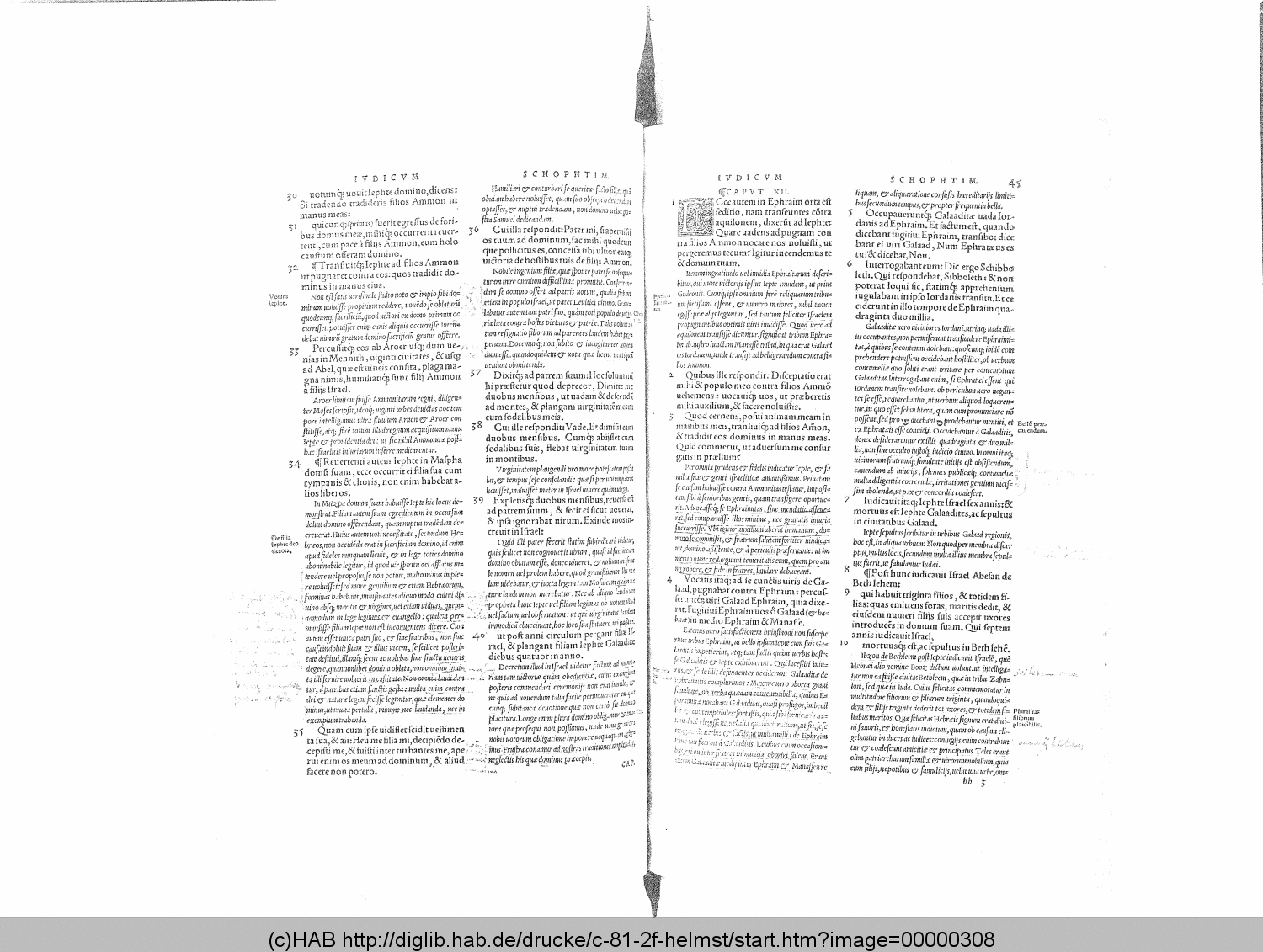 http://diglib.hab.de/drucke/c-81-2f-helmst/00000308.gif