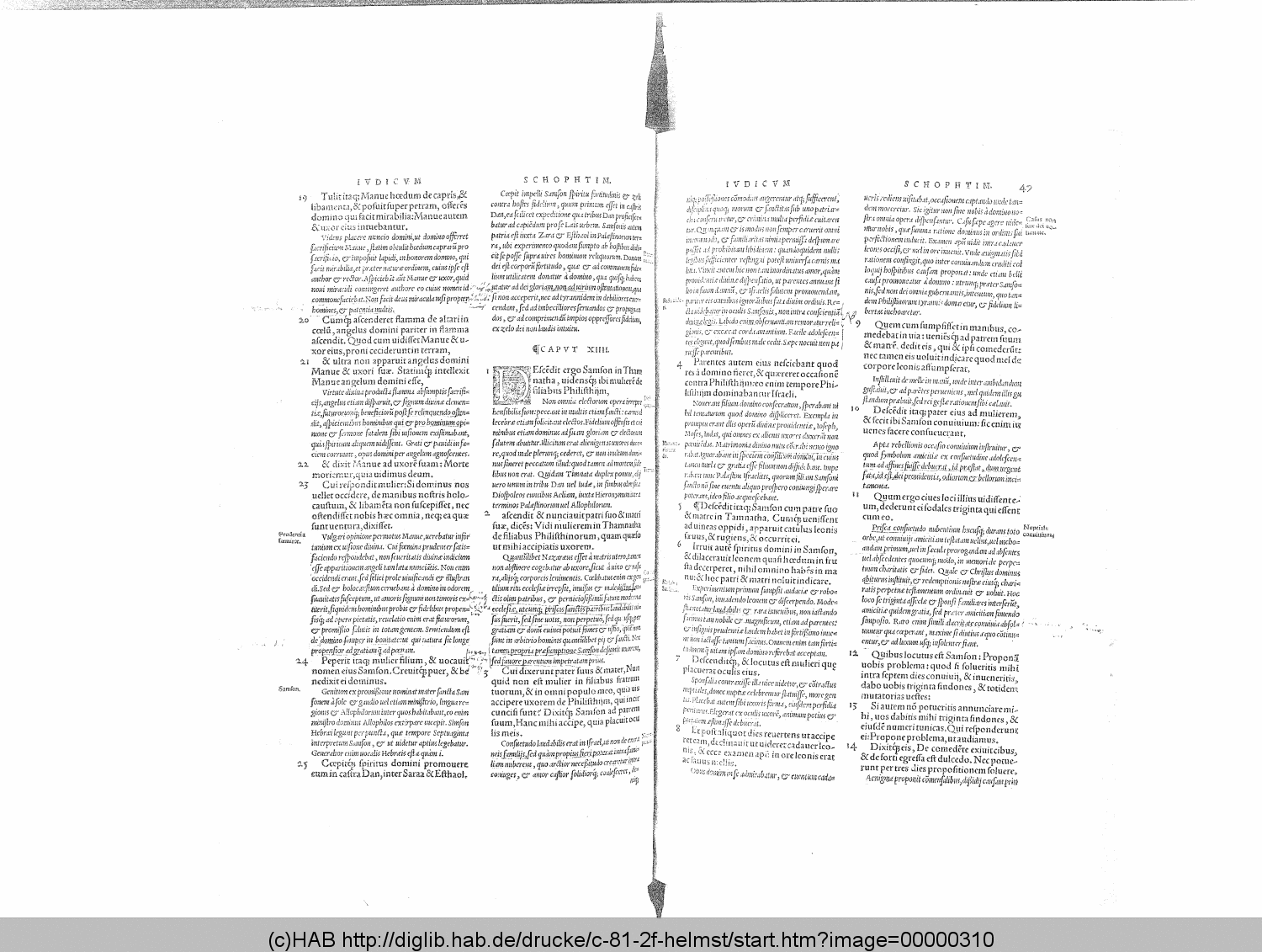 http://diglib.hab.de/drucke/c-81-2f-helmst/00000310.gif