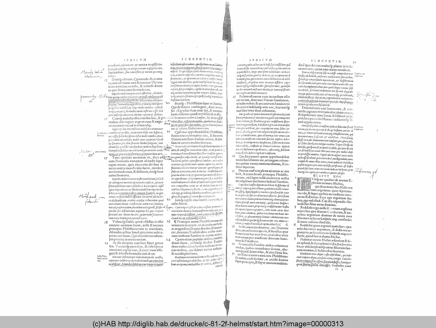 http://diglib.hab.de/drucke/c-81-2f-helmst/00000313.gif