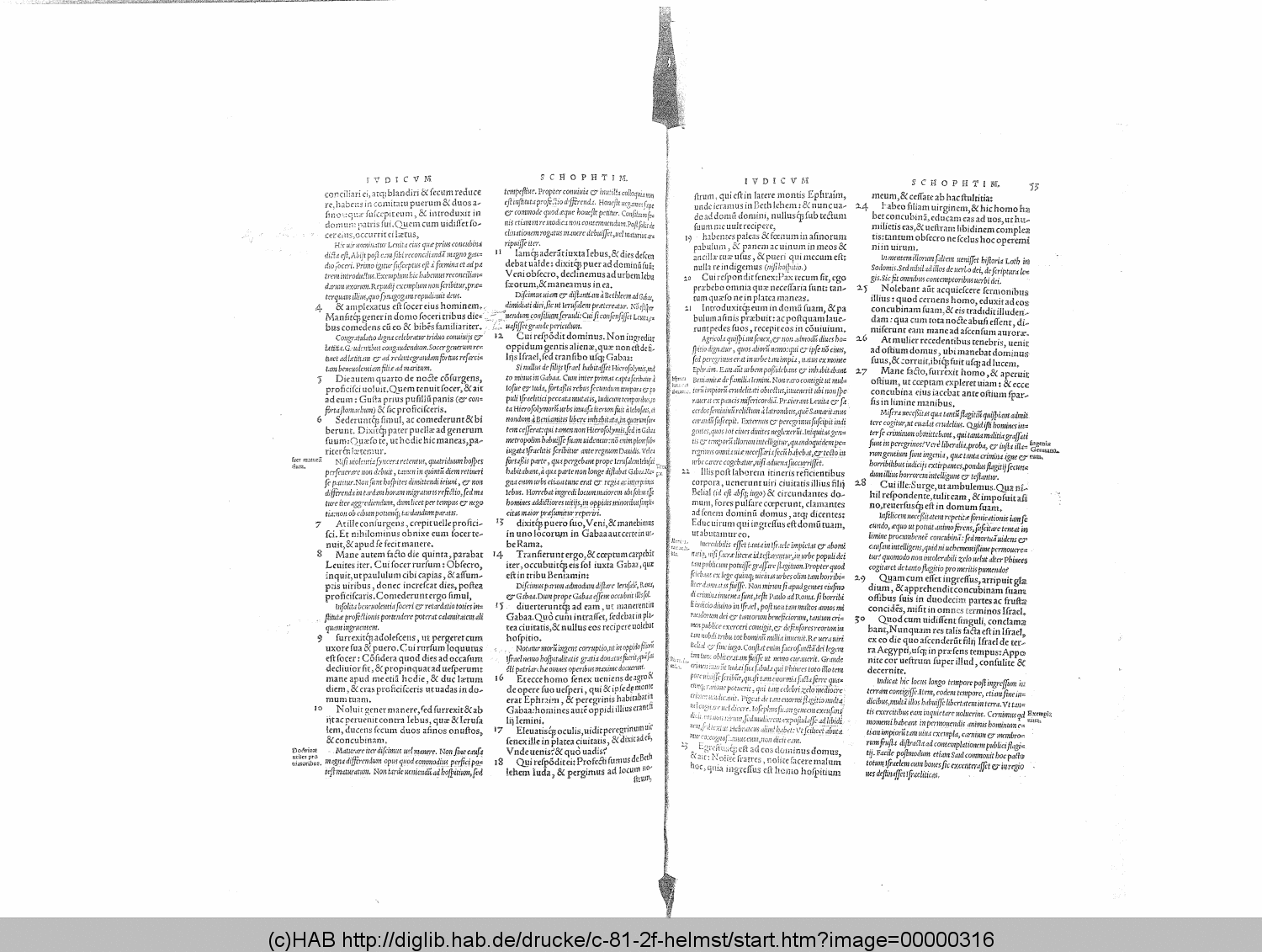 http://diglib.hab.de/drucke/c-81-2f-helmst/00000316.gif