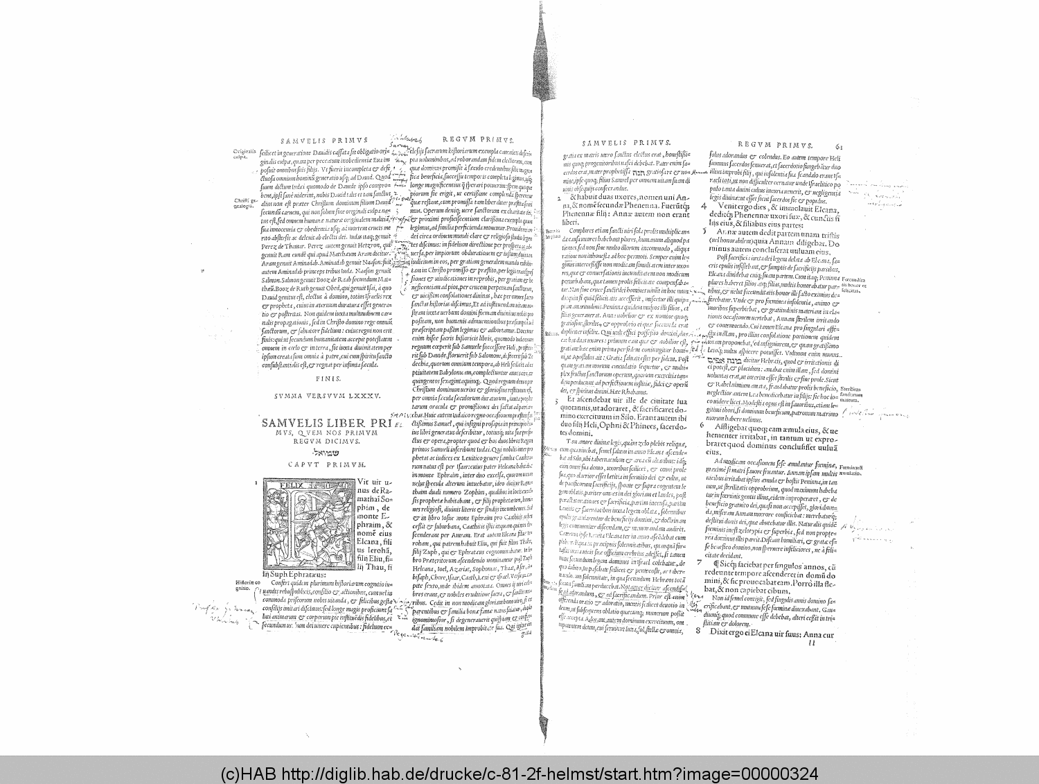 http://diglib.hab.de/drucke/c-81-2f-helmst/00000324.gif