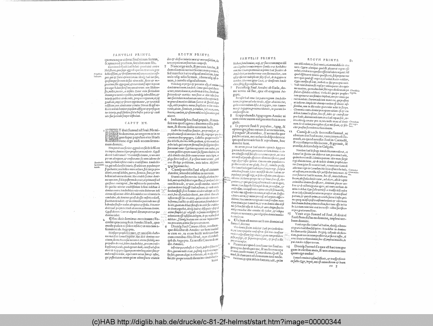 http://diglib.hab.de/drucke/c-81-2f-helmst/00000344.gif