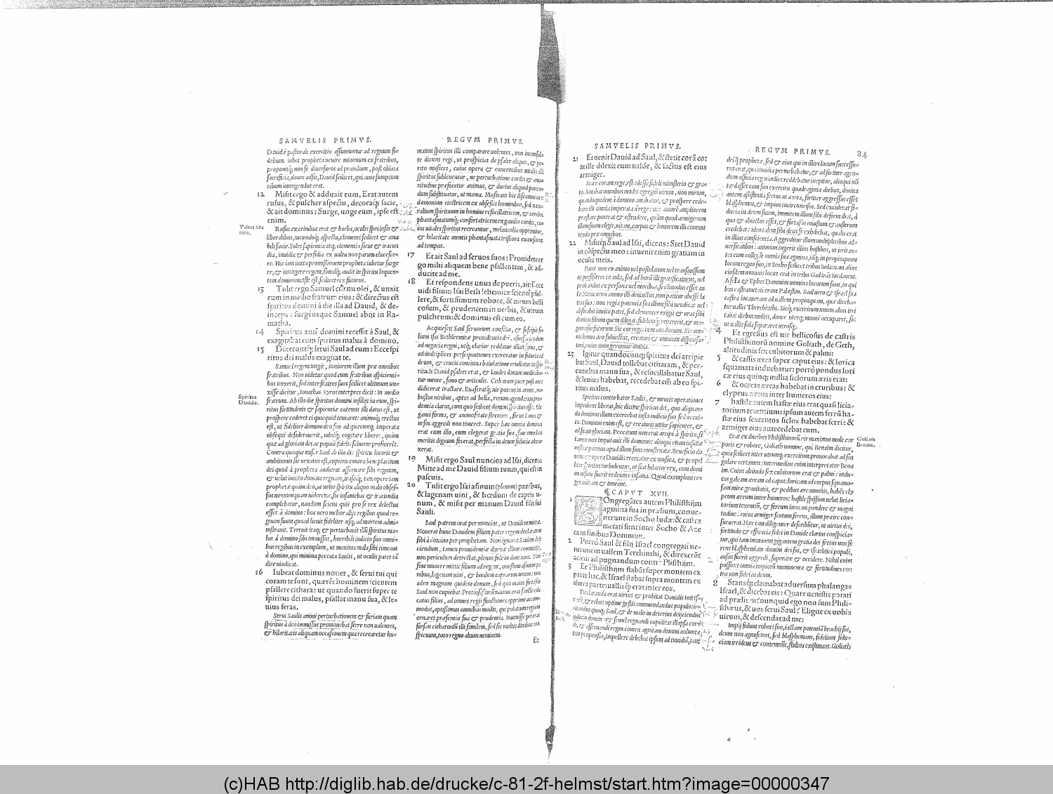 http://diglib.hab.de/drucke/c-81-2f-helmst/00000347.gif
