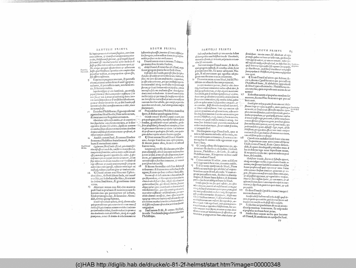 http://diglib.hab.de/drucke/c-81-2f-helmst/00000348.gif